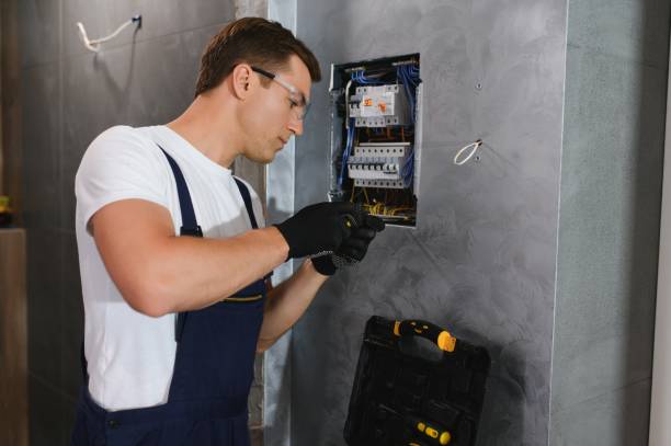 Best Electrical Repair Services  in Sherman, IL